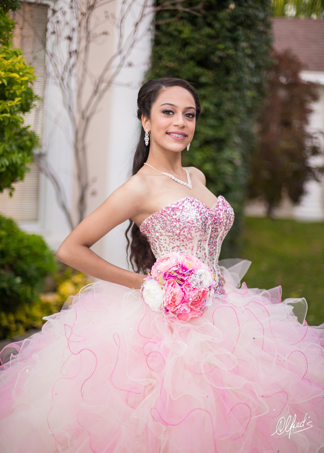 Alfred's PhotoLive - 4910