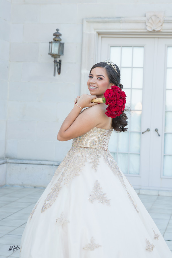 Alfred&#39;s PhotoLive - 6554